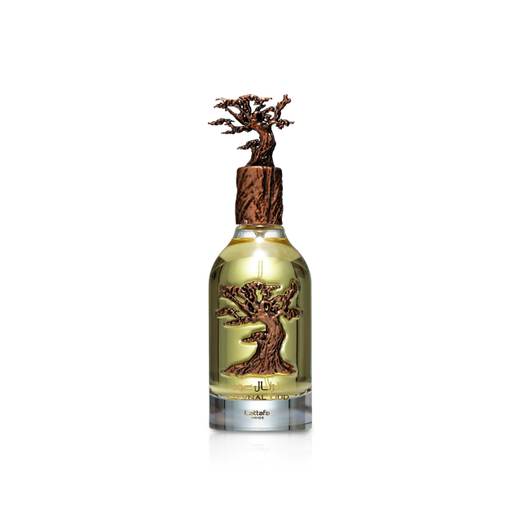 Eternal Oud Eau de Parfum – Pride Perfumes